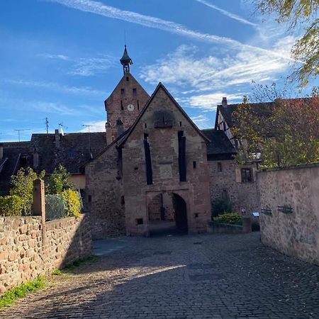 Riquewihr Centre Historique Appartement Buitenkant foto